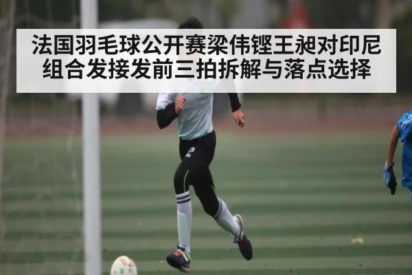 法国羽毛球公开赛梁伟铿王昶对印尼组合发接发前三拍拆解与落点选择(AIYOUXI)